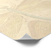 Dragonfly  Antiek Klassieke tekening Poster (Hoek)