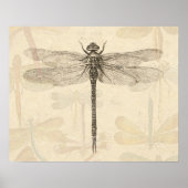 Dragonfly  Antiek Klassieke tekening Poster (Voorkant)