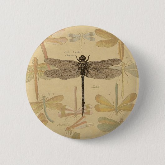 Dragonfly  Antiek Klassieke tekening Ronde Button 5,7 Cm (Voorkant)