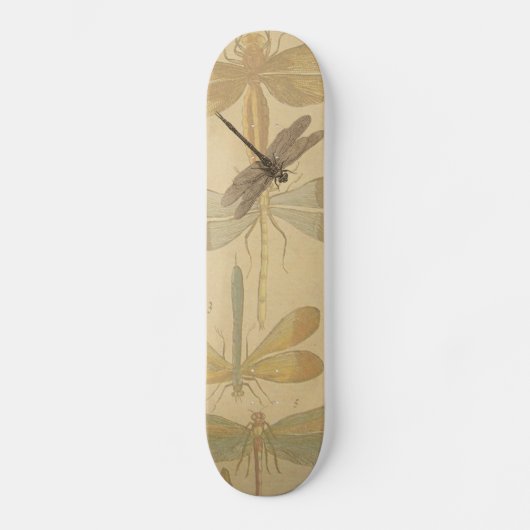 Dragonfly  Antiek Klassieke tekening Skateboard (Voorkant)