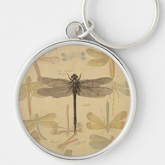 Dragonfly  Antiek Klassieke tekening Sleutelhanger (Voorkant)