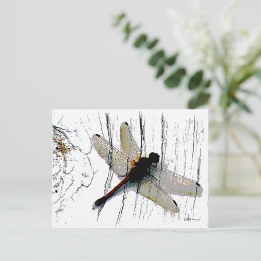 Dragonfly Art Briefkaart (Staand voorkant)