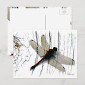 Dragonfly Art Briefkaart (Voorkant / Achterkant)