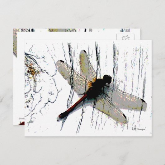 Dragonfly Art Briefkaart (Voorkant / Achterkant)
