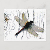 Dragonfly Art Briefkaart (Voorkant)