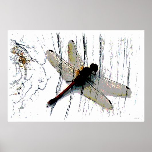 Dragonfly Art fotografie Poster (Voorkant)