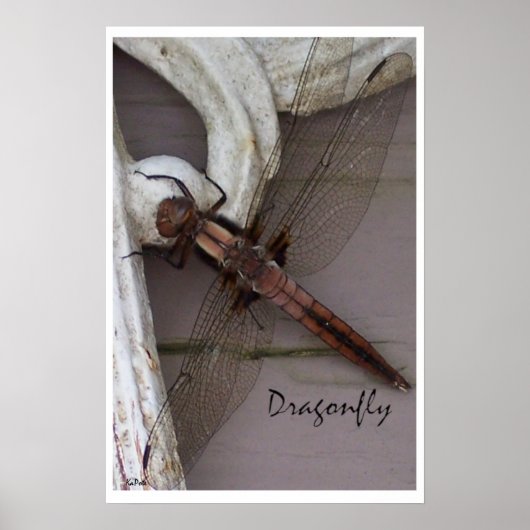 Dragonfly Art Poster (Voorkant)