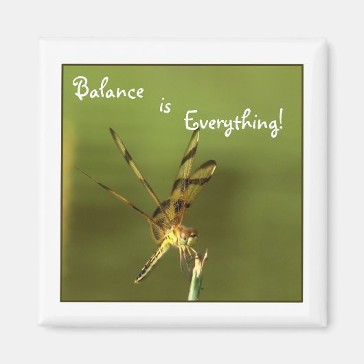Dragonfly Balansmagneet 2 Magneet (Voorkant)