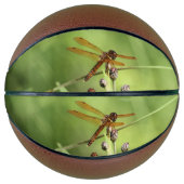Dragonfly Basketbal (Voorkant)