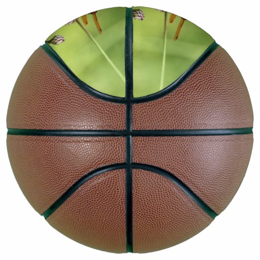Dragonfly Basketbal (Rechts)