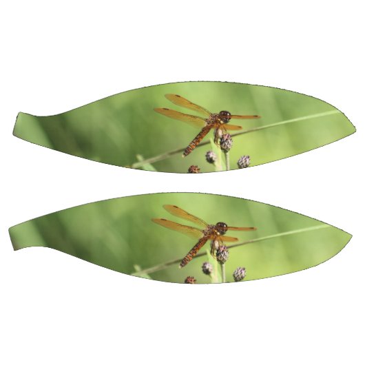 Dragonfly Basketbal (Panelen)