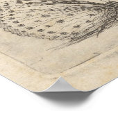  dragonfly bijen Entomologie afdrukken (61) Poster (Hoek)