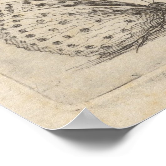  dragonfly bijen Entomologie afdrukken (61) Poster (Hoek)