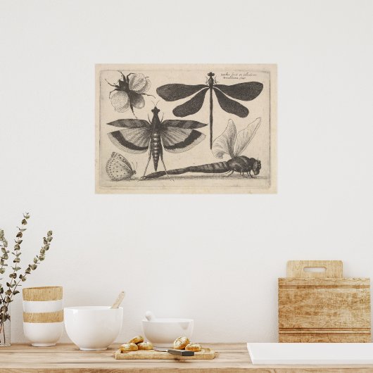  dragonfly bijen Entomologie afdrukken (61) Poster (Keuken)