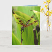 Dragonfly Birthday dansen Kaart (Gele Bloem)
