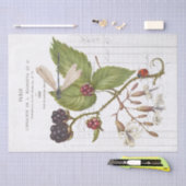 Dragonfly Blackberry Ladybug Franse  Craft Tissuepapier (Craft)