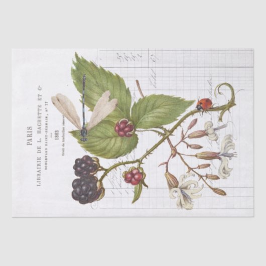 Dragonfly Blackberry Ladybug Franse  Craft Tissuepapier (Voorkant)