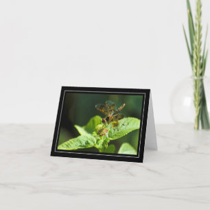 Dragonfly Blank Note Kaart