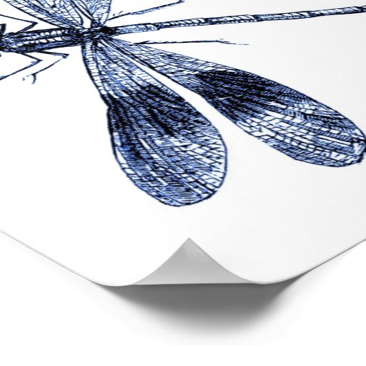  dragonfly - blauw poster (Hoek)