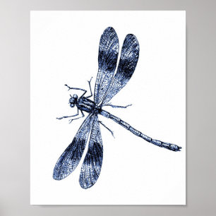 dragonfly - blauw poster