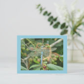 Dragonfly Blue Emperor met Border DIY Briefkaart (Staand voorkant)