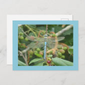 Dragonfly Blue Emperor met Border DIY Briefkaart (Voorkant / Achterkant)