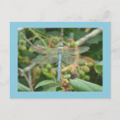 Dragonfly Blue Emperor met Border DIY Briefkaart (Voorkant)