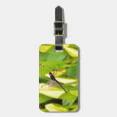 Dragonfly Blue en zwart op gras. Bagagelabel (Voorkant verticaal)