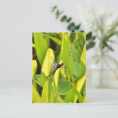 Dragonfly Blue en zwart op gras. Briefkaart (Staand voorkant)