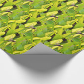 Dragonfly Blue en zwart op gras. Cadeaupapier (Hoek)