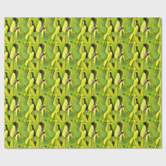 Dragonfly Blue en zwart op gras. Cadeaupapier (Vlak)