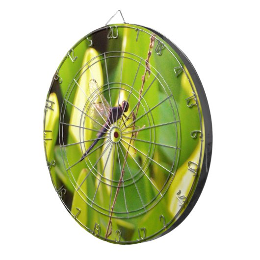 Dragonfly Blue en zwart op gras. Dartbord (Voorkant Rechts)