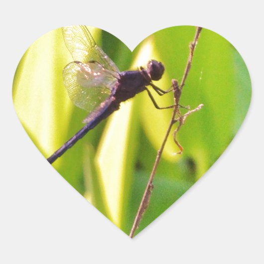 Dragonfly Blue en zwart op gras. Hart Sticker (Voorkant)