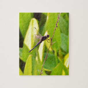 Dragonfly Blue en zwart op gras. Legpuzzel