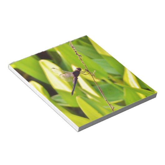 Dragonfly Blue en zwart op gras. Notitieblok (Schuin)