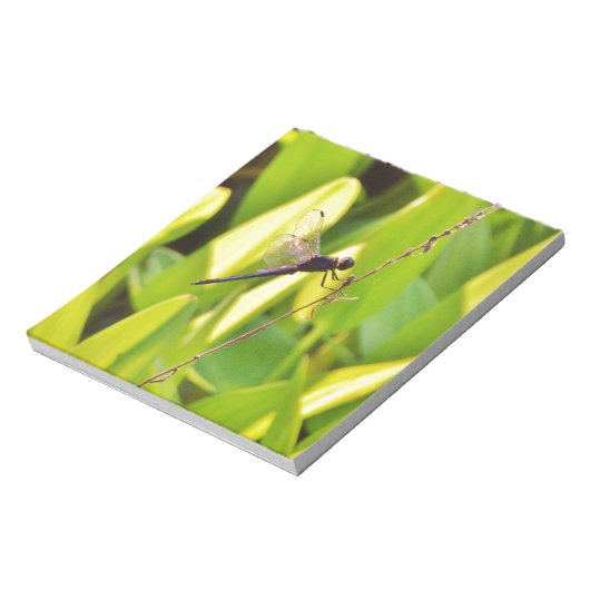 Dragonfly Blue en zwart op gras. Notitieblok (Linkerzijde)