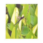 Dragonfly Blue en zwart op gras. Notitieblok (Voorkant)