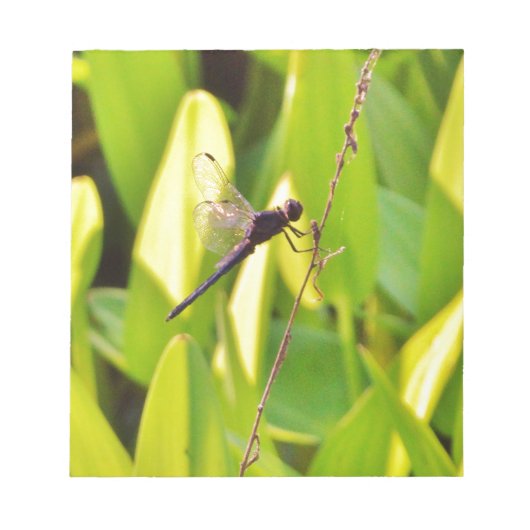 Dragonfly Blue en zwart op gras. Notitieblok (Voorkant)