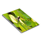 Dragonfly Blue en zwart op gras. Notitieboek (Rechterzijde)