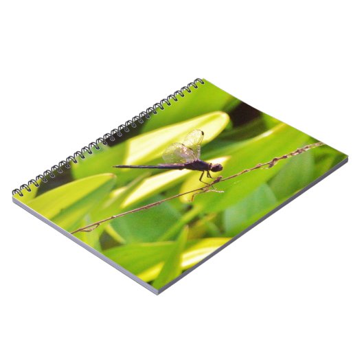 Dragonfly Blue en zwart op gras. Notitieboek (Linkerzijde)