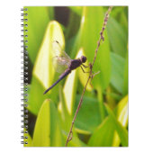 Dragonfly Blue en zwart op gras. Notitieboek (Voorkant)