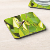 Dragonfly Blue en zwart op gras. Onderzetter (Linkerzijde)