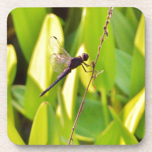 Dragonfly Blue en zwart op gras. Onderzetter (Voorkant)