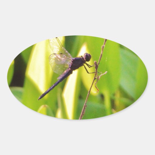 Dragonfly Blue en zwart op gras. Ovale Sticker (Voorkant)