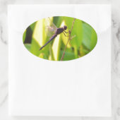 Dragonfly Blue en zwart op gras. Ovale Sticker (Tas)