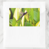 Dragonfly Blue en zwart op gras. Rechthoekige Sticker (Tas)
