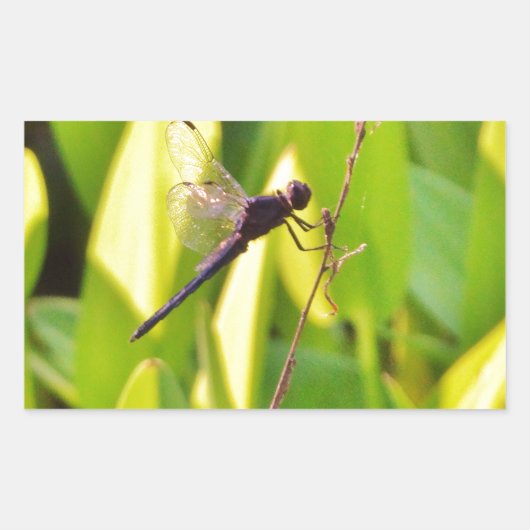 Dragonfly Blue en zwart op gras. Rechthoekige Sticker (Voorkant)