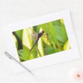 Dragonfly Blue en zwart op gras. Rechthoekige Sticker (Envelop)