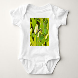 Dragonfly Blue en zwart op gras. Romper