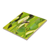 Dragonfly Blue en zwart op gras. Tegeltje (Zijkant)